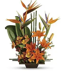 זר שמשי מעורב